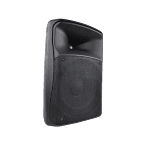 Gabinete de Altavoz PMT-12 CAB Accuracy Pro Audio