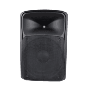 Gabinete de Altavoz PMT-12 CAB Accuracy Pro Audio