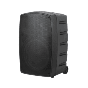 Parlante Portátil 12